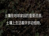 教科版（2017）二上科学1.2《土壤——动植物的乐园》课件+素材