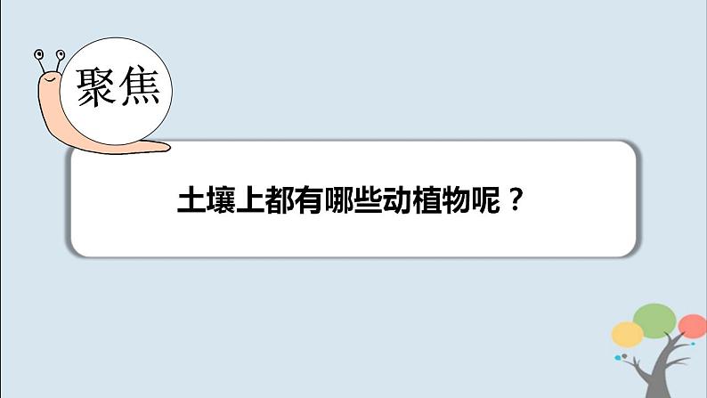 第二节 土壤——动植物的乐园第3页