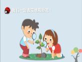 教科版（2017）二上科学1.2《土壤——动植物的乐园》课件+素材