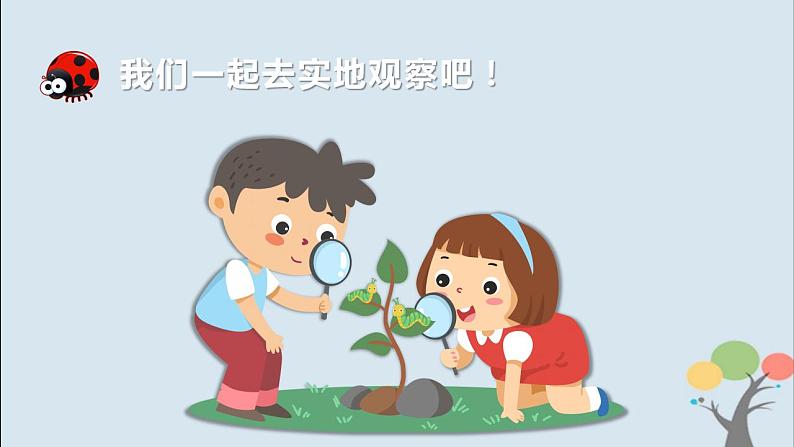 第二节 土壤——动植物的乐园第4页