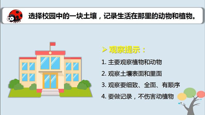 第二节 土壤——动植物的乐园第5页