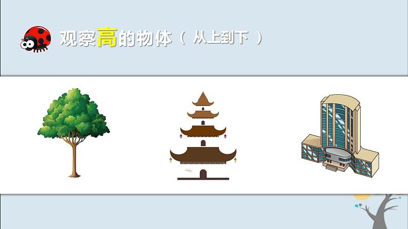 第二节 土壤——动植物的乐园第6页