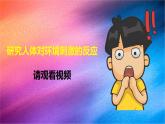冀人版五上第2单元第5课-刺激与反应  课件+视频素材