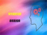 冀人版五上第2单元第6课-人体的司令部  课件+视频素材