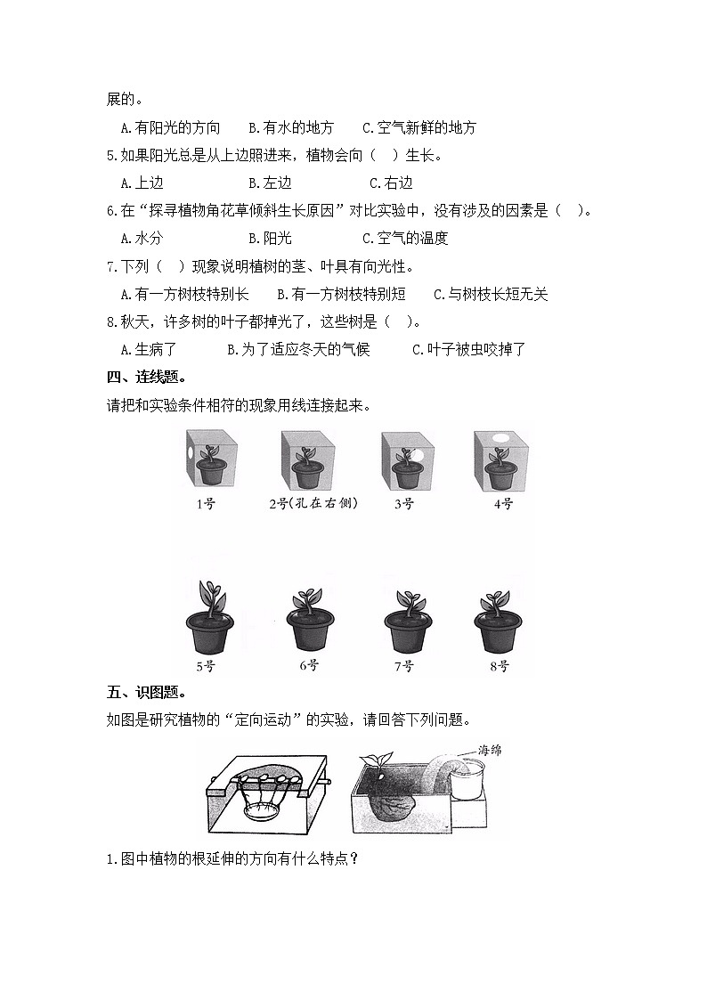 小学科学同步练习六年级上册第一单元《2.在实验中探秘》  大象版  （Word含答案）02