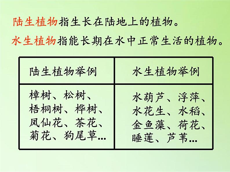 教科版三年级上科学-1.7植物有哪些相同特点 课件（12张PPT）第2页