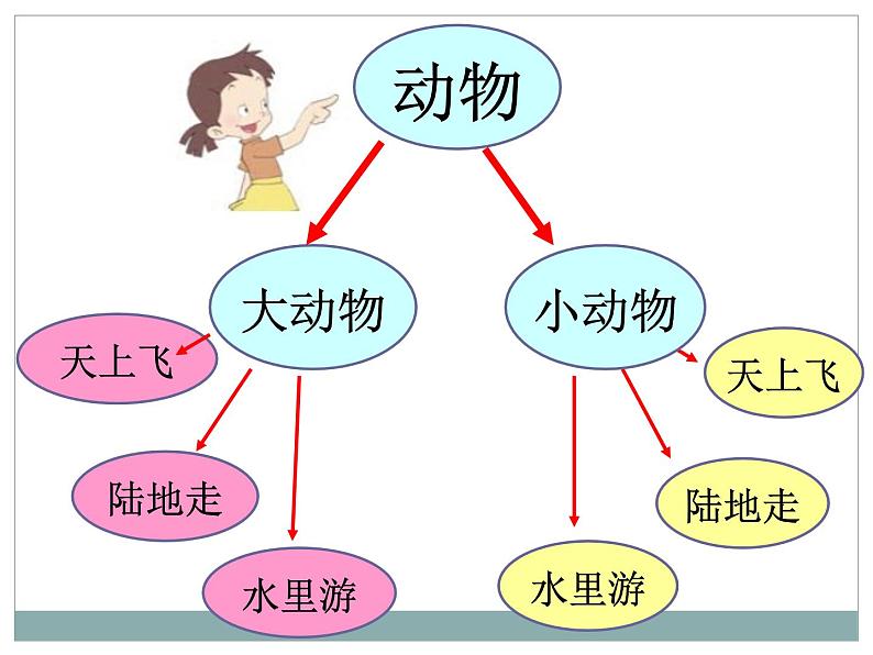 教科版 三年级上科学-2.1《寻访小动物》_3课件（19张PPT）第4页