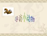 教科版 三年級上科學(xué)-2.1尋訪小動(dòng)物_1課件（17張PPT）