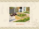 教科版 三年級上科學(xué)-2.1尋訪小動(dòng)物_1課件（17張PPT）