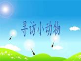教科版 三年级上科学-2.1寻访小动物 课件（27张PPT）