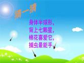 教科版 三年级上科学-2.1寻访小动物 课件（27张PPT）