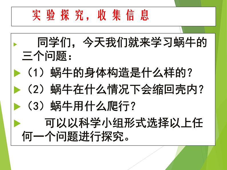 教科版三年级上科学-2.3蜗牛（二）_1课件（8张PPT）第2页