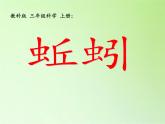 教科版 三年级上科学-2.4蚯蚓  课件（18张PPT）