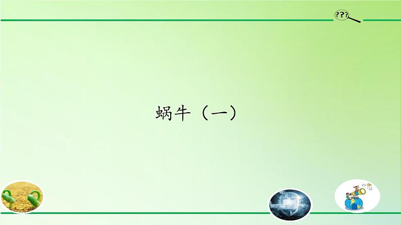 教科版 三年级上科学-2.2蜗牛（一） 课件（9张PPT）第1页