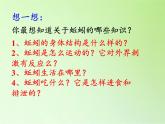 教科版 三年级上科学-2.4蚯蚓 课件（18张PPT）