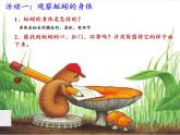 教科版 三年级上科学-2.4蚯蚓 课件（10张PPT）