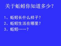 教科版三年级上册4、蚯蚓背景图课件ppt