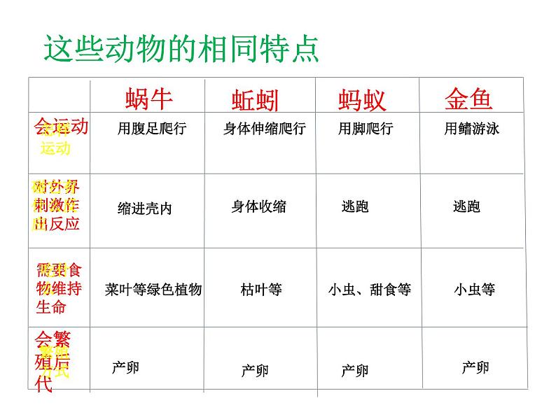 动物有哪些相同特点PPT课件免费下载06