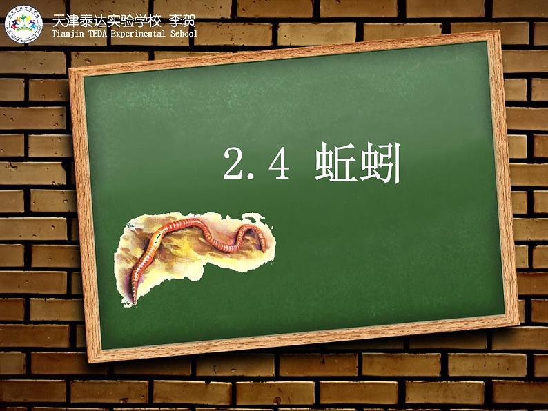 教科版 三年级上科学-2.4《蚯蚓》课件（12张PPT）02