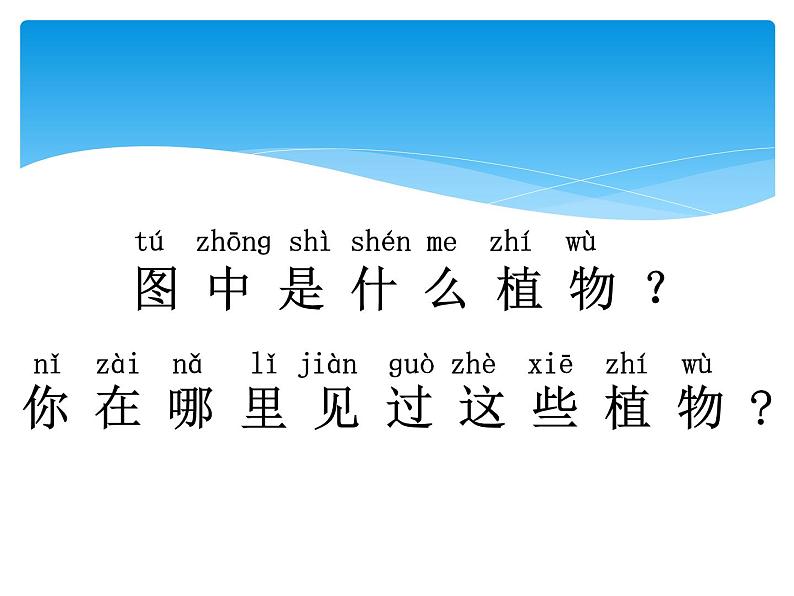 4.1常见的植物 PPT课件+教案+视频04