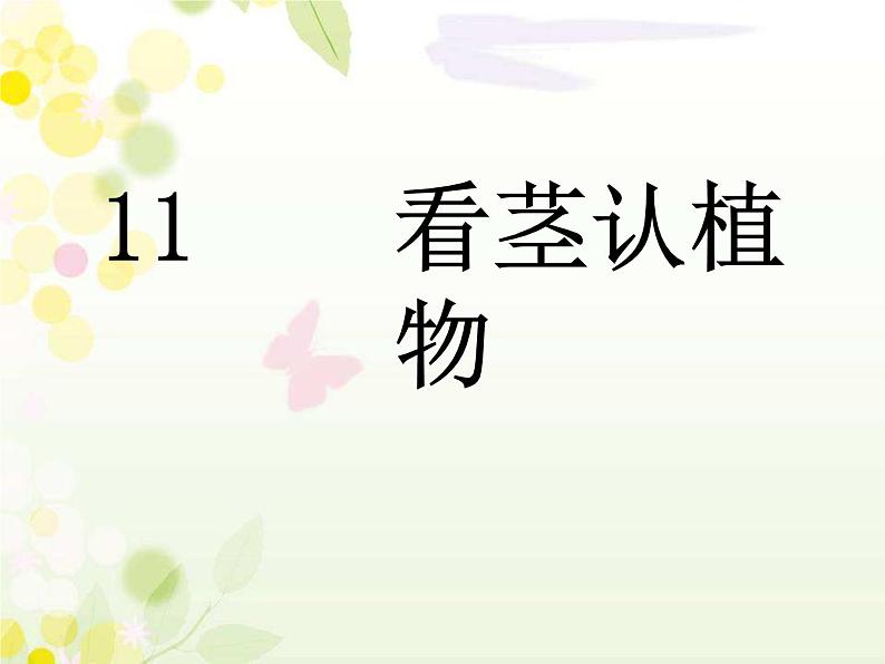 科学一年级下青岛版3.11看茎认植物课件（17张ppt）第1页