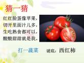 青岛版科学六三制一下15 番茄与番茄酱 课件PPT
