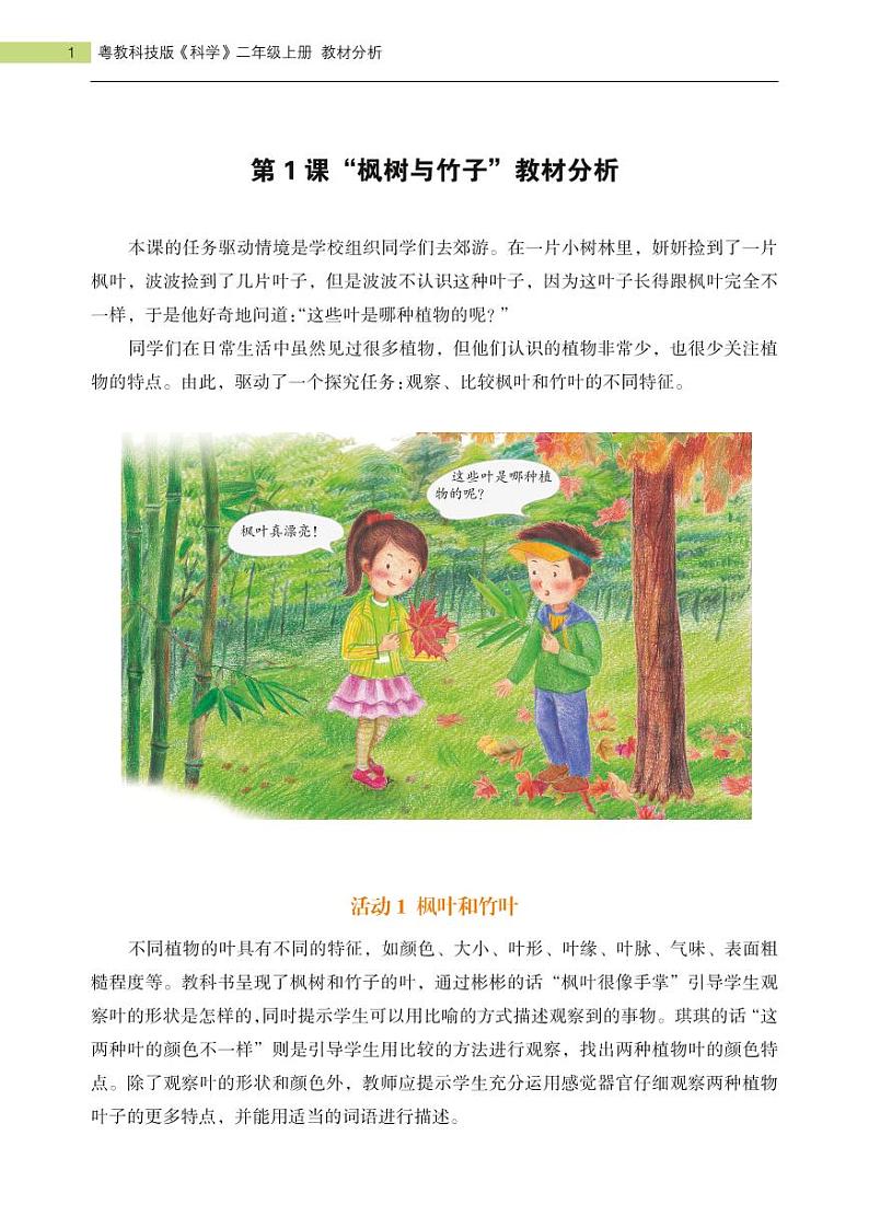 新粤教科学二上：第1课　枫树与竹子 PPT课件+教案+课文分析01