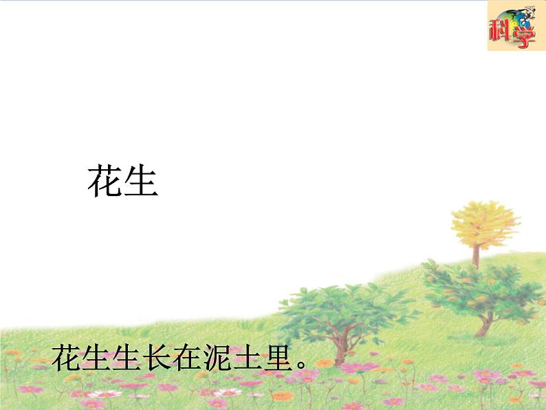 二年级上册第4课《番茄与花生》教学课件第5页