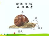 湘科版二年级上册科学2.2观察蜗牛的反应 课件