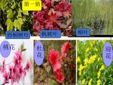 冀教版科学二年级上 4 美丽的大自然 课件