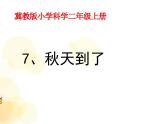 冀教版科学二年级上 7 秋天到了 课件