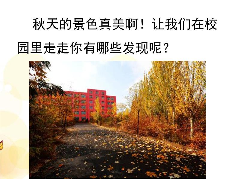 7 秋天到了 课件第2页