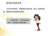 冀教版科学二年级上 7 秋天到了 课件