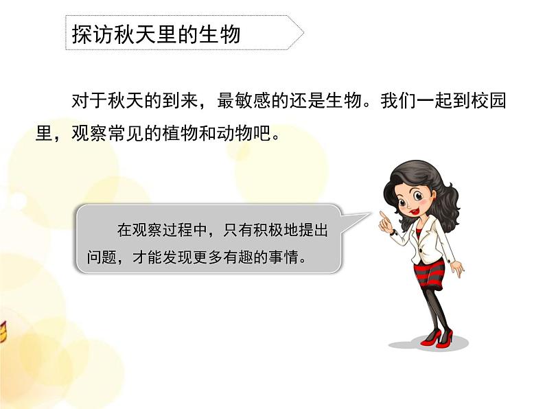 7 秋天到了 课件第3页