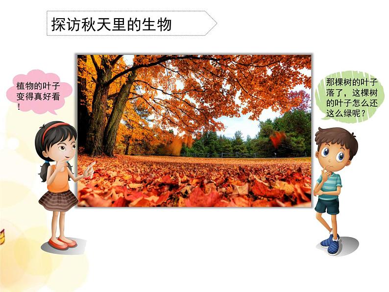 7 秋天到了 课件第4页