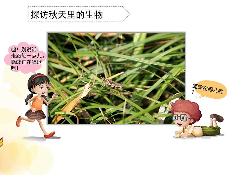 7 秋天到了 课件第5页