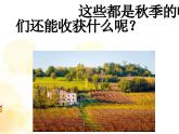 冀教版科学二年级上 8 秋天的收获 课件