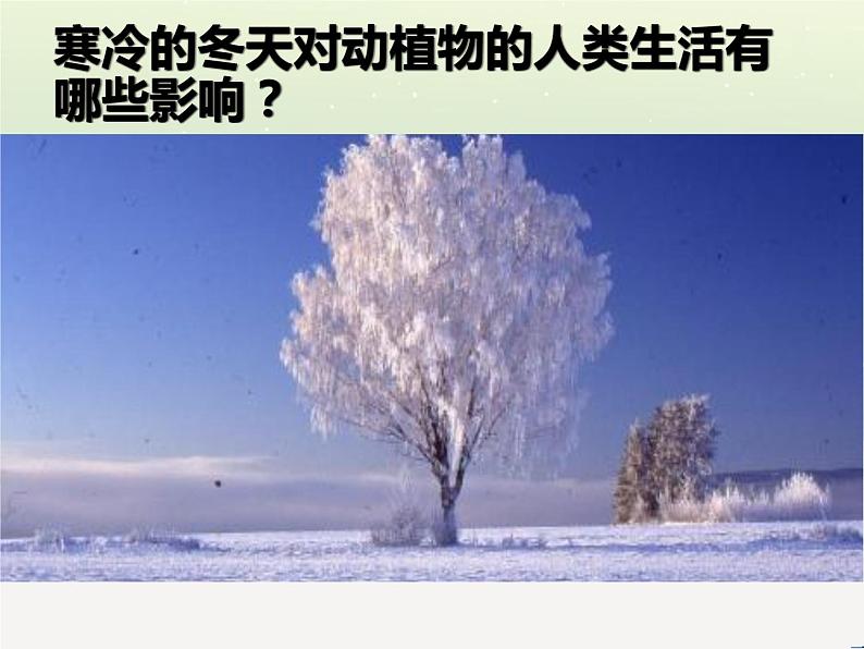 冀教版科学二年级上 9 寒冷的冬天 课件02