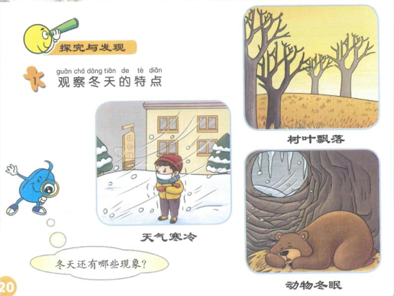 冀教版科学二年级上 9 寒冷的冬天 课件03