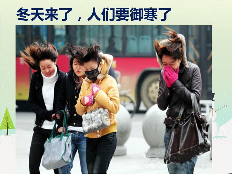 冀教版科学二年级上 9 寒冷的冬天 课件06