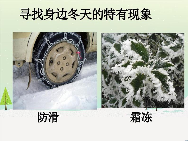 冀教版科学二年级上 9 寒冷的冬天 课件08