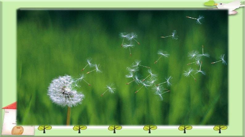 大象版科学二上 1.2《天气的影响》课件04