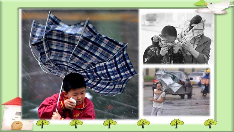 大象版科学二上 1.2《天气的影响》课件07