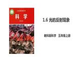 教科版五年级上册科学1.6《光的反射现象》课件+教案+实验视频
