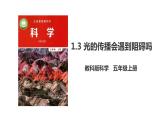 教科版五年级上册科学1.3《光的传播会遇到阻碍吗》教学课件+教案+实验视频