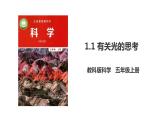 教科版五年级上册科学1.1《有关光的思考》课件+教案+实验视频