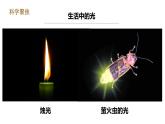 教科版五年级上册科学1.1《有关光的思考》课件+教案+实验视频