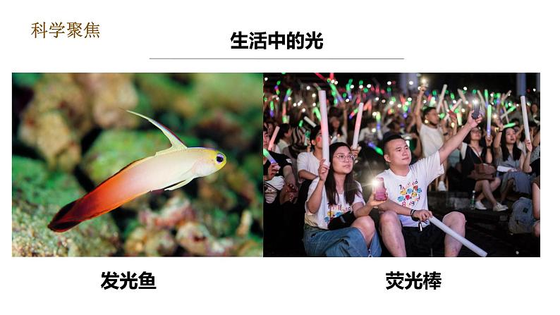 教科版五年级上册科学1.1《有关光的思考》课件+教案+实验视频06
