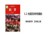 教科版五年级上册科学1.2《光是怎样传播的》课件+教案+实验视频