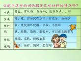 教科版 三年级上科学-3.1我们周围的材料 课件（21张PPT）